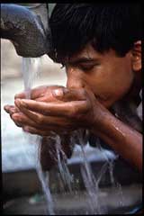 Boy drinking from tap