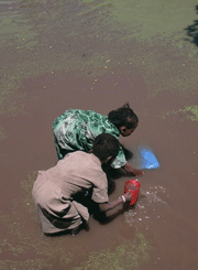 Kids Fetching Dirty Water (2)